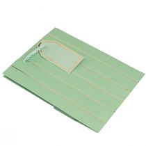 Product Gift Bag Light Green Golden Stripes 18×10×23cm 1 pc
