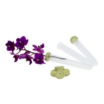 Product Arrangement tubes 10x1.6cm 100 pcs