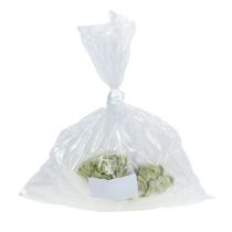 Product Arrangement tubes 7.5 x 1.5cm 100 pcs