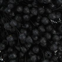 Product Dried Flax Wreath Dried Flowers Black Ø25cm