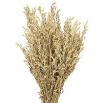 Product Dried oats decorative oat bunch natural decoration bunch 60cm 200g