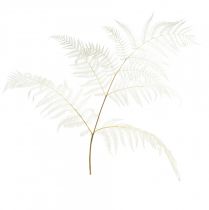 Dried fern decoration bleached Bracken fern H75cm 10pcs