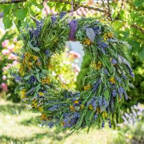 Product Dried Lavender Decoration Dried Flowers 25cm 350g 5pcs