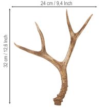 Product Künstliches Antler Ornament, Polyresin, 32cm, Natural Tones, Indoor Use