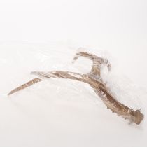 Product Künstliches Antler Ornament, Polyresin, 32cm, Natural Tones, Indoor Use