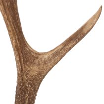 Product Kunst Antler Decor Rustic Polyresin Brown 50cm