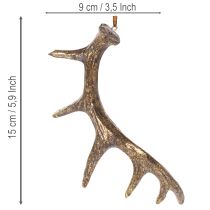 Product Rustic Antler Decorations Set of 6, Polyresin, 13-15 cm, Brown with Gold Accents