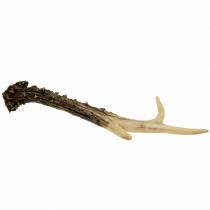 Product Deco antler country house decoration table decoration 23cm 2pcs