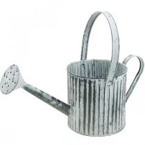 Metal can for planting, watering can for decoration, planting can Ø17cm