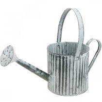 Product Metal can for planting, watering can for decoration, planting can Ø17cm