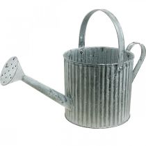 Watering can for planting, decorative metal can, planter Ø19.5cm