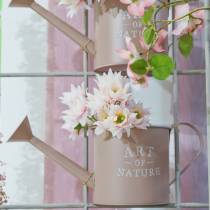 Product Flowerpot watering can old pink zinc Ø16.5cm H17cm