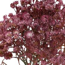 Product Gypsophila Gypsophila artificial purple 35cm 5 pcs