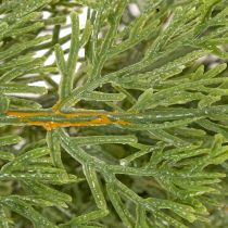 Product Artificial Pine Garland 200cm Green for Indoor Decoration
```html
<h2>Artificial Pine Garland for Christmas Decoration</h2>
<p>
This artificial pine garland in green with a length of 200 cm is a versatile addition to your seasonal decorations. Made from