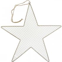 Product Metal Star Mesh Deco Star Metal Deco Gold Ø57cm