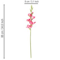 Product Artificial Gladiolus with Decorative Pink Blossoms, 88cm, for Indoor Use