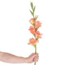 Product Artificial Gladiolus Stem with 6 Blooms, 88cm, Orange and Yellow
