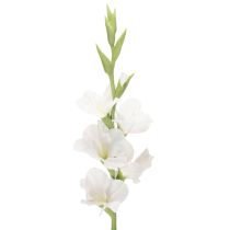 Product Artificial Gladiolus Long Stem for Vases 88cm White