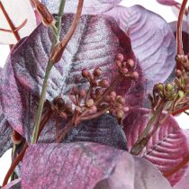 Product Glamour Eucalyptus Branch Eucalyptus Artificial Violet 65cm 3pcs