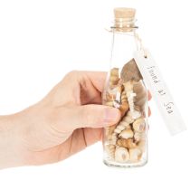 Product Set of 2 Glass Bottles with Seashells and Tags – 17cm Decorative Maritime Ornament
