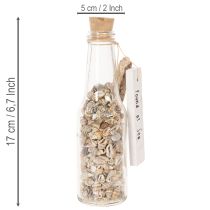 Product Set of 2 Glass Bottles with Seashells and Tags – 17cm Decorative Maritime Ornament