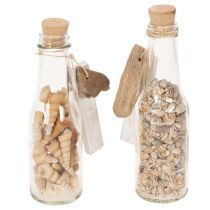 Product Set of 2 Glass Bottles with Seashells and Tags – 17cm Decorative Maritime Ornament
