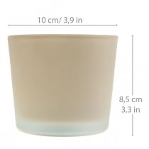 Product Glass flower pot beige planter glass planter Ø10cm H8.5cm