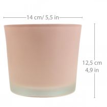 Product Flower pot glass planter pink glass tub Ø14.5cm H12.5cm