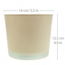 Product Glass flowerpot beige planter Glass planter Ø14.5cm H12.5cm
