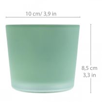 Product Glass flower pot green planter glass tub Ø10cm H8.5cm