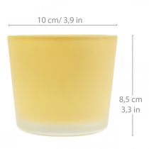Product Glass flower pot yellow planter glass tub Ø10cm H8.5cm