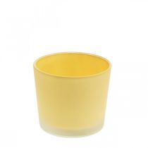 Product Glass flower pot yellow planter glass tub Ø10cm H8.5cm