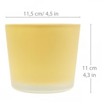 Product Glass flower pot yellow decorative glass tub Ø11.5cm H11cm