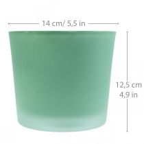 Product Glass flower pot green planter glass tub Ø14.5cm H12.5cm