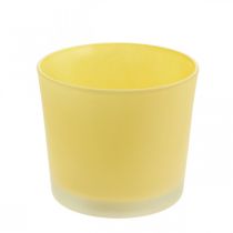 Product Glass flower pot yellow plant pot glass tub Ø14.5cm H12.5cm