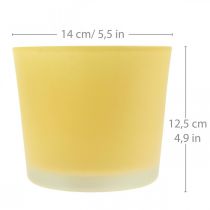 Product Glass flower pot yellow plant pot glass tub Ø14.5cm H12.5cm