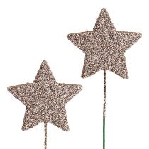 Glitter star on the wire champagne 5cm 48pcs