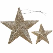 Product Glitter star champagne 9.5/5cm 18pcs