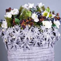 Product Glitter star silver Ø10cm 12 pcs