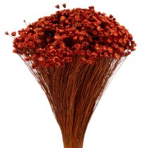 Product Dried flower bouquet, a charming addition to vases or arrangements, 44cm
