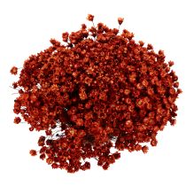 Product Dried flower bouquet, a charming addition to vases or arrangements, 44cm