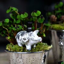 Lucky pig with cylinder silver 6.5 × 8cm 6pcs