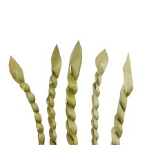 Product Gold tendril nature 50pcs