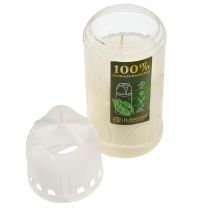 Product Grave candle white vegetable oil ICP burning time 4 days H20cm
