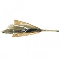 Product Dried grasses in a bunch Dry floristics Dry bouquet H70cm