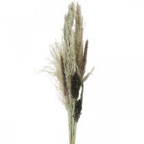 Product Dried grasses in a bunch Dry floristics Dry bouquet H70cm