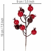 Product ProductNameArtificial Red Pomegranate Branches, 19 cm, Set of 4 for Vase Decoration/ProductName
ProductDescription<h2>Artificial Pomegranate Branches for Vase Decoration at Home</h2>
<p>This set contains four artificial pomegranate branches with branching