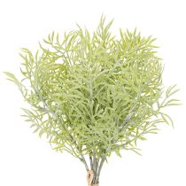 Product Ornamental asparagus branch, natural addition to flower bouquets, 34cm, 7 pieces