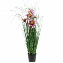 Product Artificial Grass with Echinacea in a pot Pink 63 cm