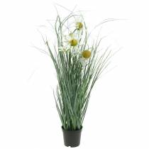 Product Grass with Echinacea artificial in a white pot 56cm